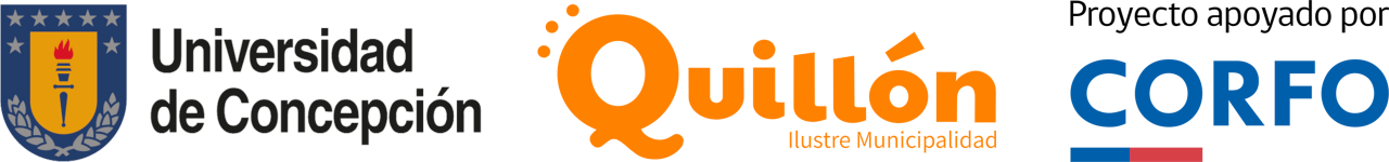 Logo Universidad de Concepción